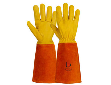 Related Product 3