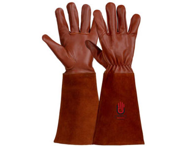Related Product 2